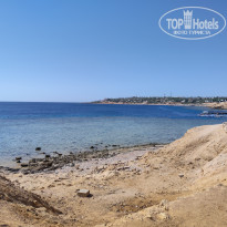 фото из отзыва ID 2649539