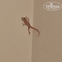 фото из отзыва ID 2649549