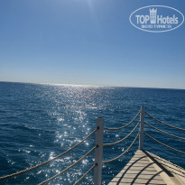 фото из отзыва ID 2649596