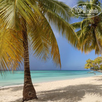 фото из отзыва ID 2649578