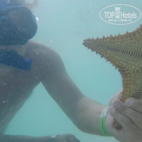 фото из отзыва ID 2649578