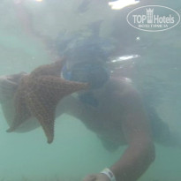 фото из отзыва ID 2649578