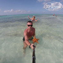 фото из отзыва ID 2649578