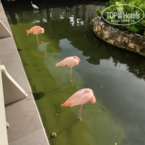 фото из отзыва ID 2649578