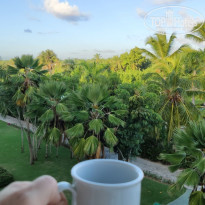 фото из отзыва ID 2649578