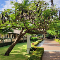 фото из отзыва ID 2649578