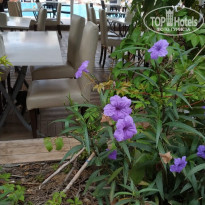 фото из отзыва ID 2649645