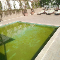 фото из отзыва ID 2649645