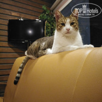 фото из отзыва ID 2649645