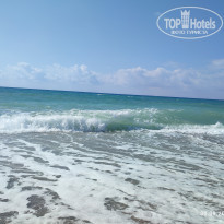 фото из отзыва ID 2649736