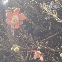 фото из отзыва ID 2649753