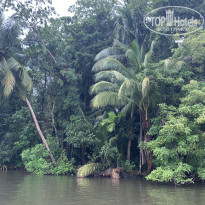 фото из отзыва ID 2649753