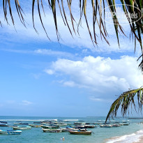 фото из отзыва ID 2649753