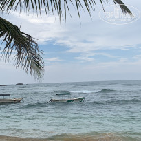 фото из отзыва ID 2649753