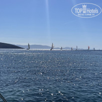 фото из отзыва ID 2649865