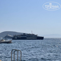 фото из отзыва ID 2649865