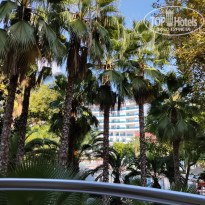 фото из отзыва ID 2649907