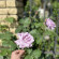 фото из отзыва ID 2649918