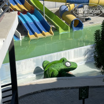 фото из отзыва ID 2649953