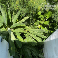 фото из отзыва ID 2649985