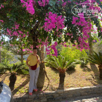 фото из отзыва ID 2649972