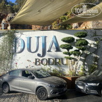 фото из отзыва ID 2649972