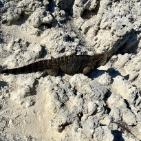 фото из отзыва ID 2647229