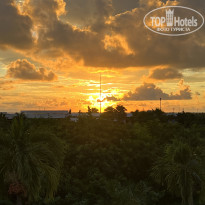 фото из отзыва ID 2647229