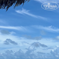 фото из отзыва ID 2647229