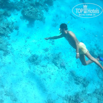 фото из отзыва ID 2644787