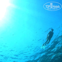 фото из отзыва ID 2644787