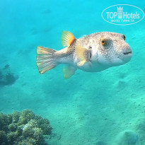 фото из отзыва ID 2644787