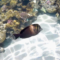 фото из отзыва ID 2644787