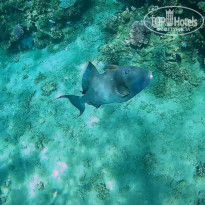 фото из отзыва ID 2644787