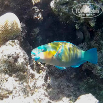 фото из отзыва ID 2644787