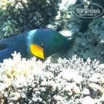 фото из отзыва ID 2644787