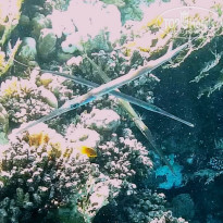 фото из отзыва ID 2644787