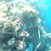 фото из отзыва ID 2644787