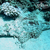 фото из отзыва ID 2644787