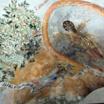 фото из отзыва ID 2648261