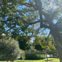 фото из отзыва ID 2648018