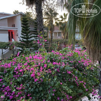 фото из отзыва ID 2648018