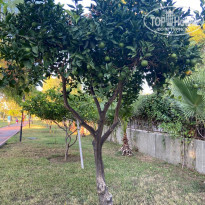 фото из отзыва ID 2648018