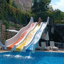 фото из отзыва ID 2643078