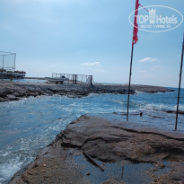 фото из отзыва ID 2643078