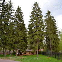 фото из отзыва ID 2648099