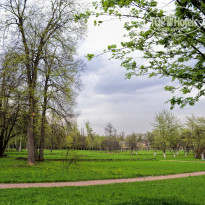 фото из отзыва ID 2648099