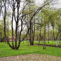 фото из отзыва ID 2648099