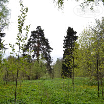 фото из отзыва ID 2648099