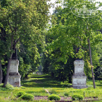 фото из отзыва ID 2648185